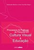 Processos e Prticas de Pesquisa em Cultura Visual e Educao