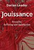 Jouissance: Sexuality, Suffering and Satisfaction (English Edition)