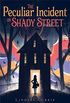 The Peculiar Incident on Shady Street (English Edition)