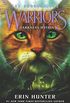 Warriors: The Broken Code #4: Darkness Within (English Edition)