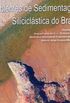 Ambientes de Sedimentao Siliciclstica do Brasil