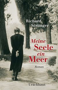 Meine Seele ein Meer (German Edition)