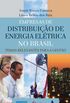 Empresas de distribuio de energia eltrica no Brasil: temas relevantes para a gesto