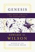 Genesis: The Deep Origin of Societies (English Edition)