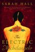 The Electric Michelangelo (English Edition)