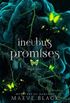 Incubus Promises