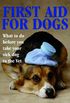 First Aid For Dogs