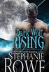 Dark Wolf Rising (Heart of the Shifter) (English Edition)