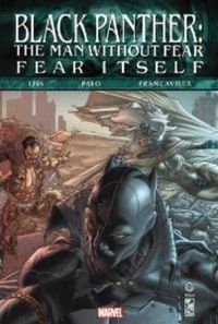 Black Panther: The Man Without Fear, Vol. 2