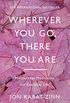 Wherever You Go, There You Are: Mindfulness meditation for everyday life (English Edition)