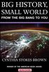 Big History, Small World: From the Big Bang to You (English Edition)
