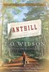 Anthill: A Novel (English Edition)