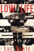 Low Life: Lures and Snares of Old New York (English Edition)