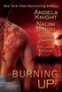 Burning Up (Psy/Changeling Series) (English Edition)