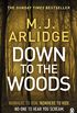 Down to the Woods: DI Helen Grace 8 (Detective Inspector Helen Grace) (English Edition)