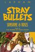 Stray Bullets #3