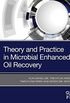 Theory and Practice in Microbial Enhanced Oil Recovery (English Edition)