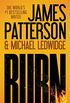 Burn (Michael Bennett Book 7) (English Edition)