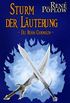 Sturm der Luterung: Die Berr Chroniken - Band 3 (German Edition)