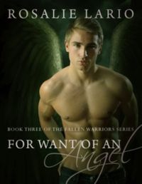 For Want Of An Angel