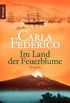 Im Land der Feuerblume: Roman (Die Chile-Trilogie 1) (German Edition)