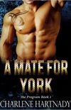 A mate for York