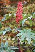 Natural Products Chemistry: Sources, Separations and Structures (English Edition)