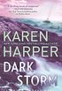 Dark Storm (South Shores Book 6) (English Edition)