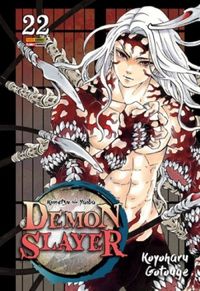 Demon Slayer: Kimetsu No Yaiba #22