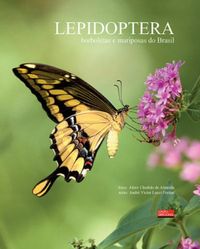 Lepidoptera  
