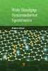 Wide Bandgap Semiconductor Spintronics (English Edition)