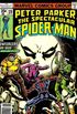 Peter Parker - O Espetacular Homem-Aranha #19 (1978)