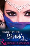 Hidden In The Sheikh