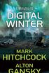 Digital Winter (English Edition)