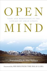 Open Mind: View and Meditation in the Lineage of Lerab Lingpa (English Edition)