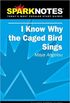I Know why the Caged Bird Sings, Maya Angelou