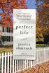 Perfect Life: A Novel (English Edition)