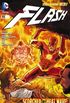 Flash #11