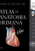 Netter Atlas de Anatomia Humana
