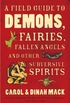 A Field Guide to Demons, Fairies, Fallen Angels and Other Subversive Spirits 