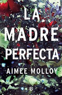 La madre perfecta (Spanish Edition)