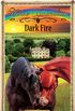 Dark Fire: Sometimes Horses Need a Little Magic (Horse Guardian Book 1) (English Edition)