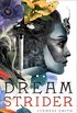 Dreamstrider (English Edition)