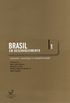 Brasil em Desenvolvimento - Volume 1