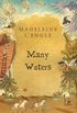 Many Waters (A Wrinkle in Time Book 4) (English Edition)