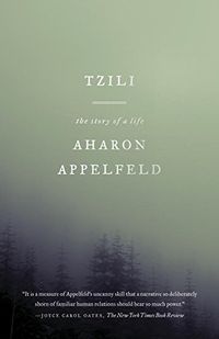 Tzili: The Story of a Life (English Edition)