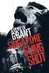 Singapore Sling Shot (Daniel Swann thriller Book 2) (English Edition)