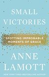 Small Victories: Spotting Improbable Moments of Grace (English Edition)