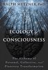 Ecology of Consciousness: The Alchemy of Personal, Collective, and Planetary Transformation (English Edition)