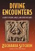Divine Encounters: A Guide to Visions, Angels, and Other Emissaries (English Edition)